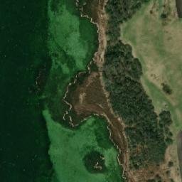 Satelita