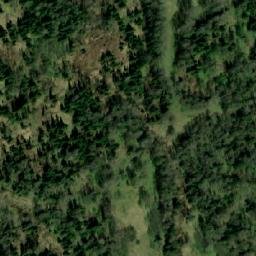 Satellite imagery of Коченкова Грива, KZ