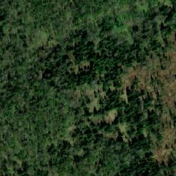 Satellite imagery of Коченкова Грива, KZ