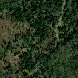 Satellite imagery of Коченкова Грива, KZ