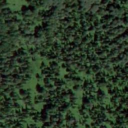 Satellite imagery of Богатая, RU