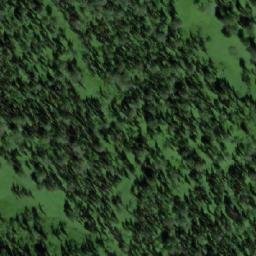 Satellite imagery of Болотный, RU