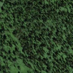 Satellite imagery of Болотный, RU