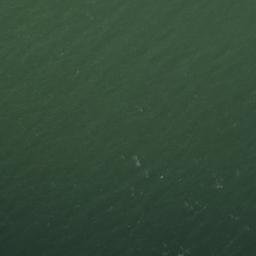 Satellite imagery of Rachael Island South Cardinal Buoy DSO, CA