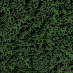 Satellite imagery of Кедровка, KZ
