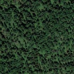 Satellite imagery of Осиновое Плесо, RU