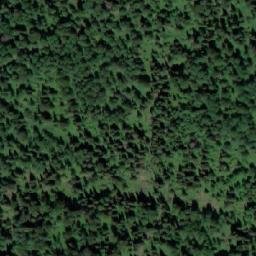 Satellite imagery of Осиновое Плесо, RU