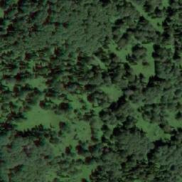 Satellite imagery of Богатая, RU