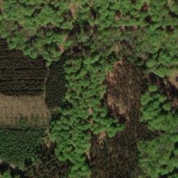 Satellite imagery of Hühnerberg, DE