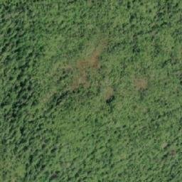 Satellite imagery of Mowitch Point, CA