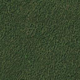 Satellite imagery of Copton Ridge, CA