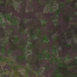 Satellite imagery of Pilsdon Cross, GB