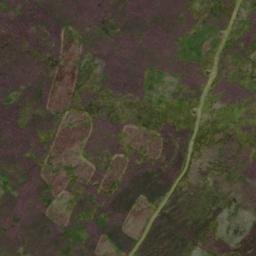 Satellite imagery of Pilsdon Cross, GB
