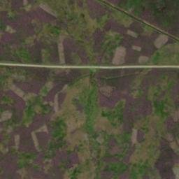 Satellite imagery of Pilsdon Cross, GB