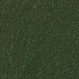 Satellite imagery of Copton Ridge, CA