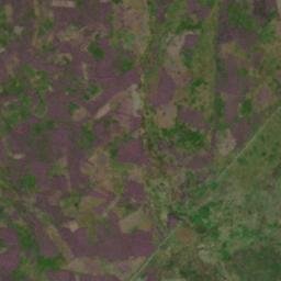 Satellite imagery of Pilsdon Cross, GB