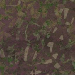 Satellite imagery of Pilsdon Cross, GB
