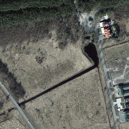 Satelita