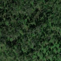 Satellite imagery of Сосновая, KZ
