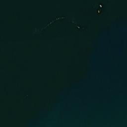 Satelita
