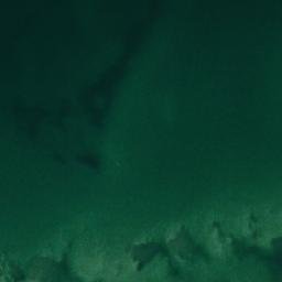 Satelita