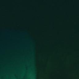 Satelita