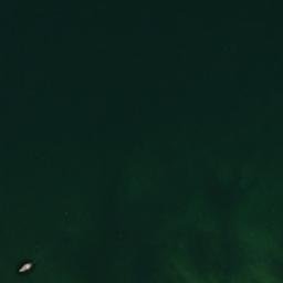 Satelita