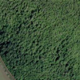 Satellite imagery of Gust Point, CA