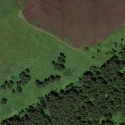Satellite imagery of Кузнецова Грива, KZ