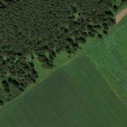 Satellite imagery of Кузнецова Грива, KZ