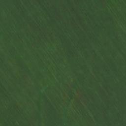 Satellite imagery of Кузнецова Грива, KZ