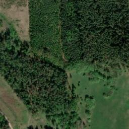 Satelita