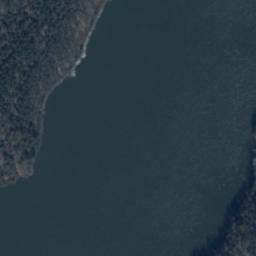 Satelita