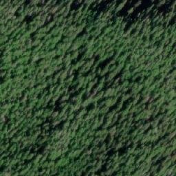 Satellite imagery of Clara Point, CA