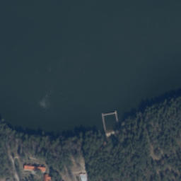 Satelita