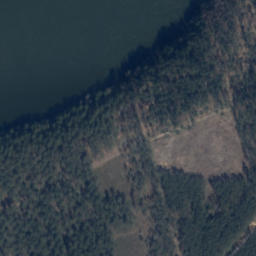 Satelita