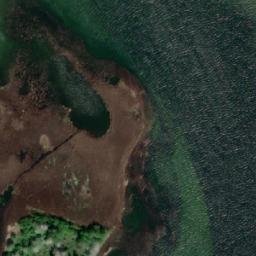 Satelita