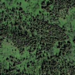 Satellite imagery of Winninyik Hill, CA