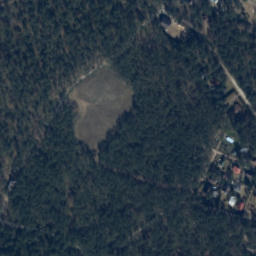 Satelita