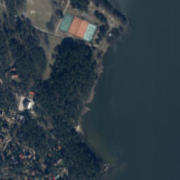 Satelita