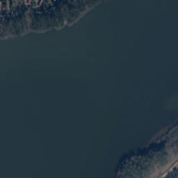 Satelita