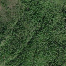 Satellite imagery of Philip Cone, CA