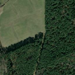 Satelita