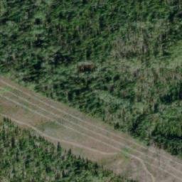 Satellite imagery of Hicks Hill, CA