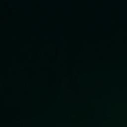 Satelita