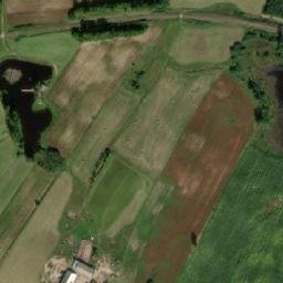 Satelita