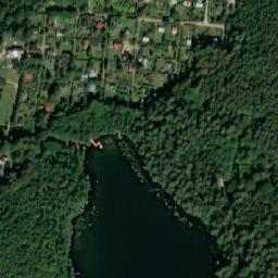 Satelita