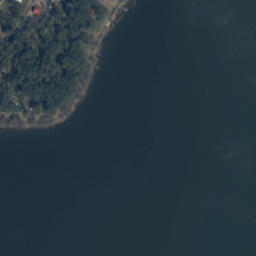 Satelita