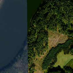 Satelita