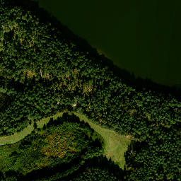 Satelita